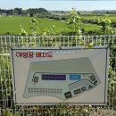(주)홍성엔마트 | 충남 신생캠핑장 홍성 내포신도시 내포레캠핑장 🏕 찐 강추 후기