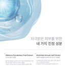 메디라이프케어 이미지