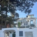 발라당냥 | 양재역 근처 고양이 카페 추천 : 캠핑고양이 / 내돈내산 솔직후기