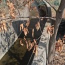 백두농장 이미지