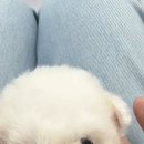 킴스토리청담