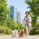 (신규)펫시터(산책·돌봄관리사) | 시니어 펫시터 | "강아지 돌보며 건강도 챙겨요" 은퇴 후 최고 인기 알바