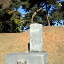 이여발묘 이미지