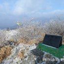 성촌농장 | 용을 타고(騎龍) 한해를 보내다(送年), 기룡지맥2, 외미기재~기룡산~죽천재(17.12.31)