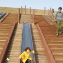 장성 나들이 이미지