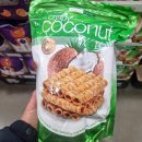 트로피칼 이미지