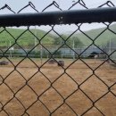 강릉 쌍둥이 동물농장 이미지