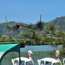 수영식당 이미지