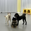 댕동댕 유치원 이미지