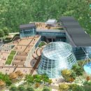 영월곤충박물관 이미지