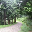 팔송정식당 이미지