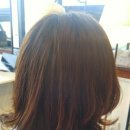 봄이꽃피다 이미지