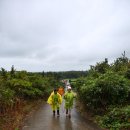 간세다리 이미지