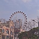 애기바위는 끝내 찾지 못하고! - 강진/장흥 수인산 여불때기 작은 산 타고 병영성, 홍교, 돌담길,하멜기념관 돌아보다 이미지