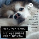 (주)페일블루닷스튜디오 | [누 밀(MEAL)] 강아지 밥꾸용 자연식 토퍼 딱! 추천드려요. 내돈내산!