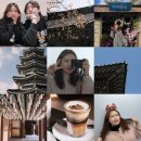 신평동1061 | 경주 여행 코스 2박3일 : 핫플만 골라서 꽉꽉 알차게 다녀온 후기