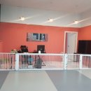 댕댕댕 애견유치원 이미지