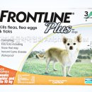 플러스동물약국 이미지