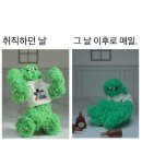(주)사료회관 | 4월 넷째주 : 빼앗긴 재택에도 봄은 오는가