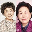 사미자 카카오 검색결과