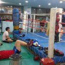 대풍권투체육관 이미지