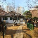 살구나무집칼국수