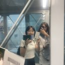 세은국제여행사