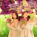 동광로3길 49 | 커플/우정사진 셀프사진스튜디오::포토존,스튜디오,컨셉 TIP까지!