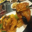 매화반점 이미지