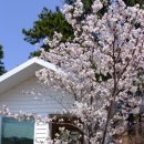 법성주유소 이미지