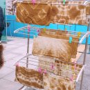 황산벌둥지마을 이미지