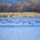 풍경속선물 이미지