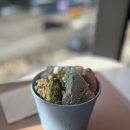 배스킨라빈스/던킨 SPC스퀘어 강남 | 강남역 100가지맛 아이스크림 배스킨라빈스 SPC 스퀘어점,나는딸기치오 후기