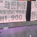 느티나무마트 이미지