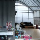 원정농장 Daum카페