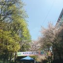 굴다리시장 입구 이미지
