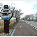 남대천제방길 Daum카페