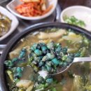 별미올갱이 이미지