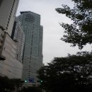 보라매로 이미지