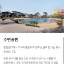 스타벅스 포항포스코DT 이미지