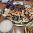 고기싸롱신