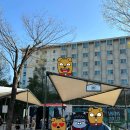 스마트타운 | 에버랜드 산리오 뿌빠타운 정보&amp; 일요일에 다녀온 후기