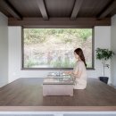 스테이 옥도 이미지