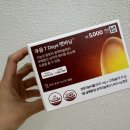 신진식품 | 다이소 건기식 푸응7days팻버닝 건강기능식품으로 과체중 극복 후기