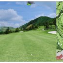 THE스크린SG골프 이미지