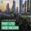 (공연) 어반 나잇-세종 | 도시의 밤을 마음껏 즐겨라 '어반나잇-세종 NEON'(이송희 기자)