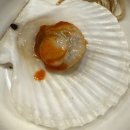 부산 3대 방어 맛집 대연동 - 청춘횟집(내돈내산, 솔직후기, 평일웨이팅)