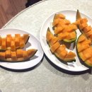 편백연 관광농원 이미지