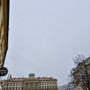 미로호프 이미지