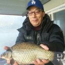 하천리-9 이미지